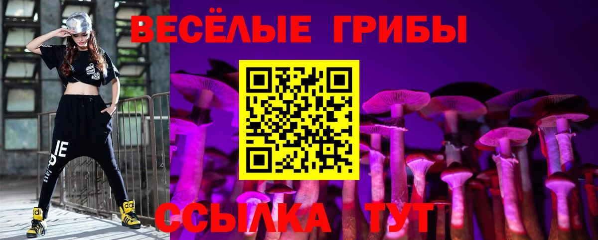 Галлюциногенные грибы прущие грибы  Вход с VPN  Псилоцибиновые грибы Psilocybe  Кызыл 